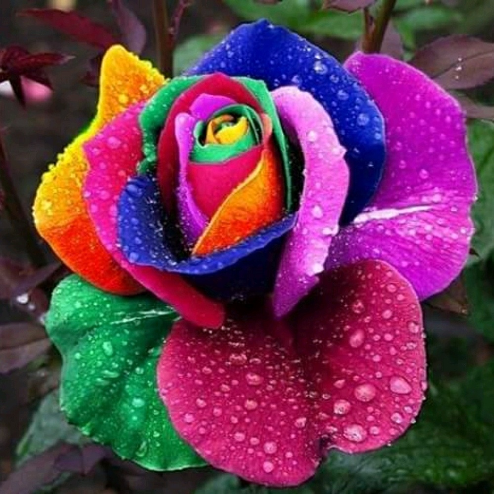 Clothes, bags, jewelry and all!